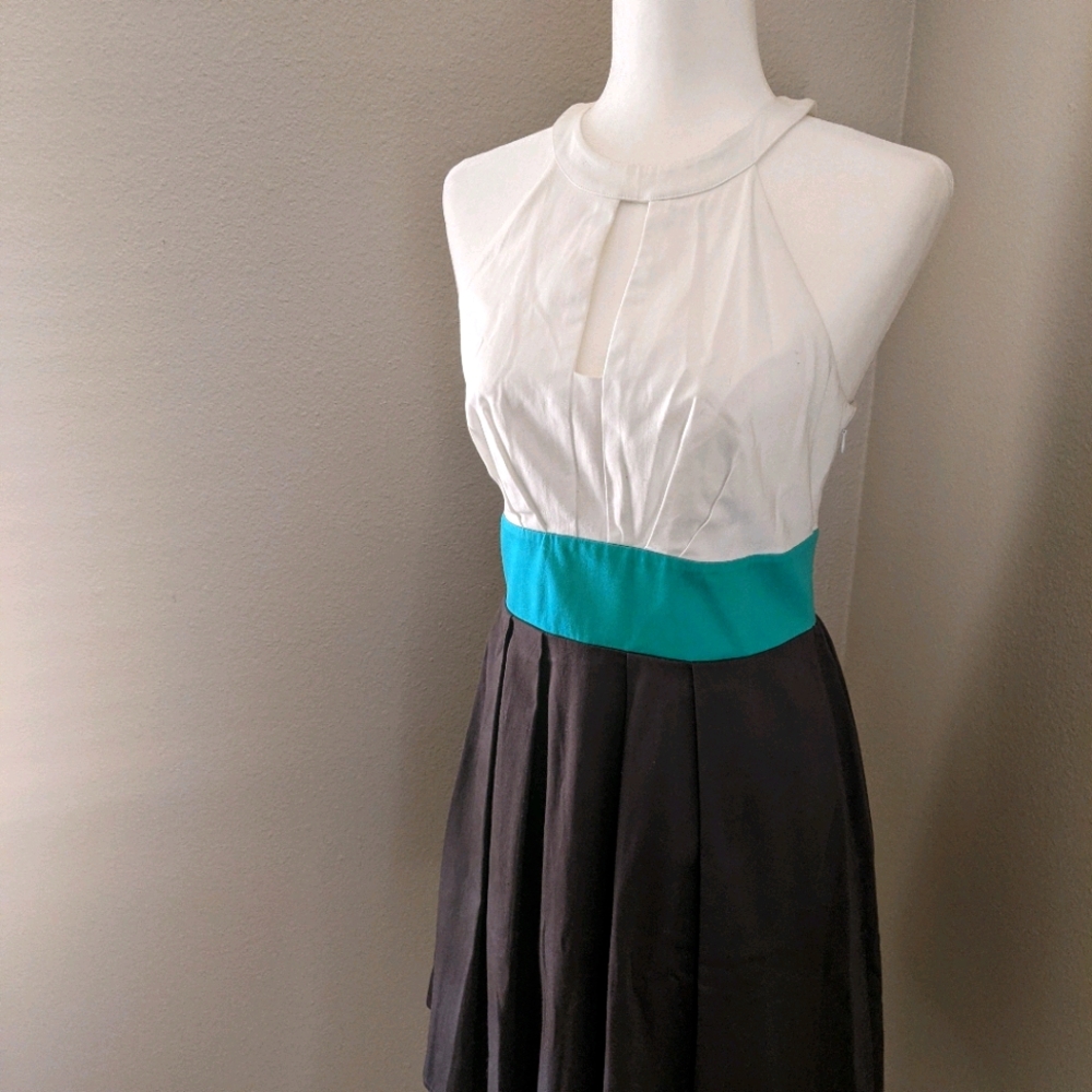 Color Block Sleeveless Dress ⚪💧🐘Size 6